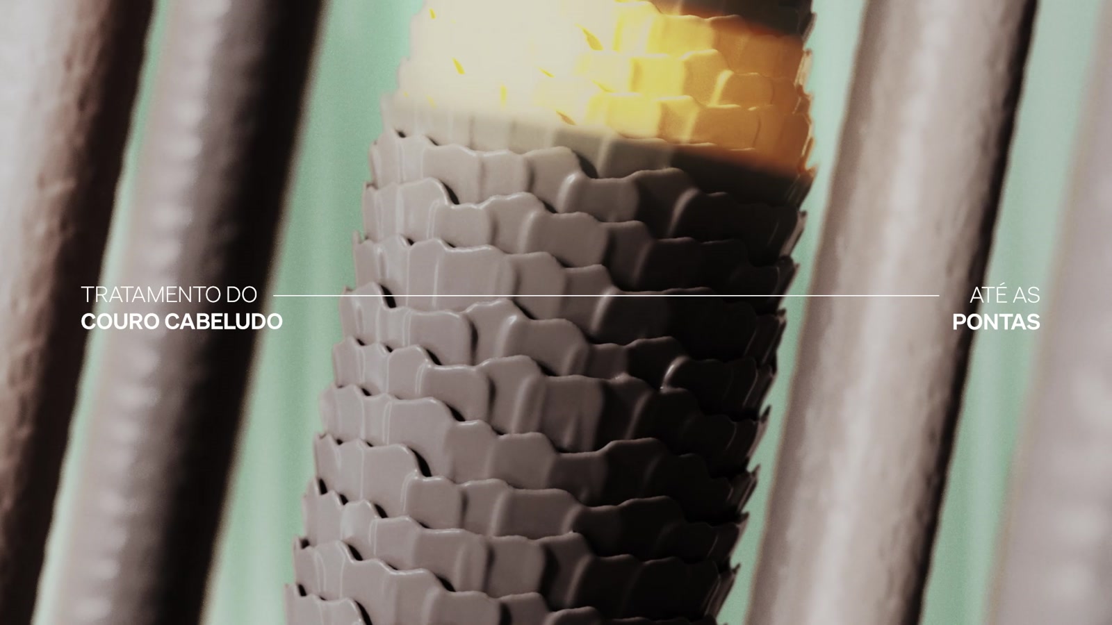 Natura Lumina — frame 5